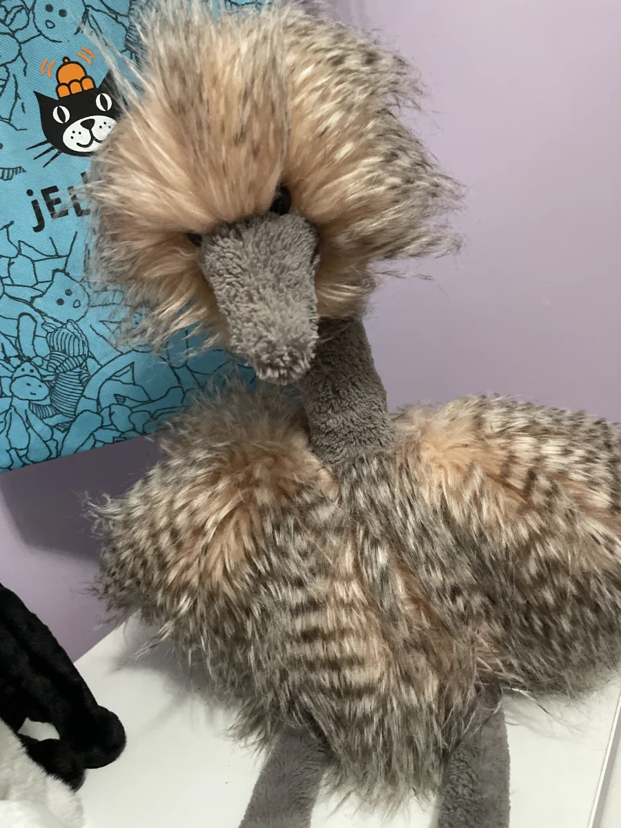 Front - Odette Ostrich photo by Eviemaria1