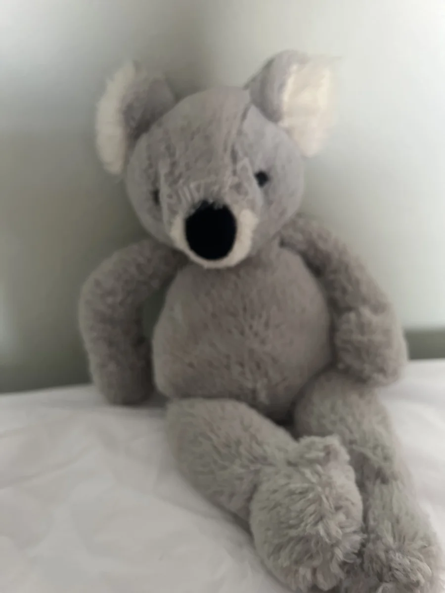 Front - Benji Koala photo by jellycat1235