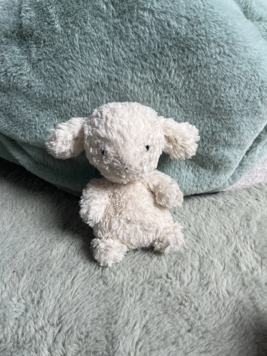 Front - Bashful Lamb - Small photo by Lucia_123