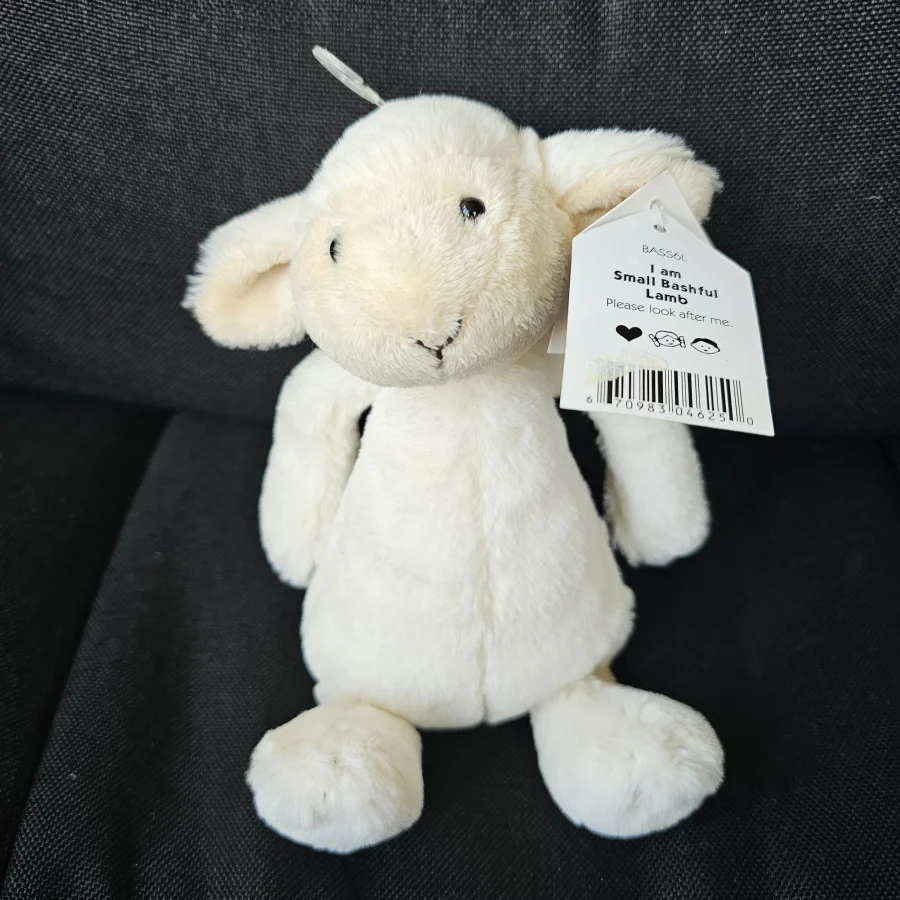 Front - Bashful Lamb - Small photo by cwhbin