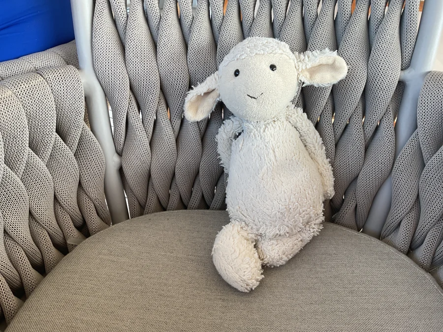 Front - Bashful Lamb - Small photo by Horses for life