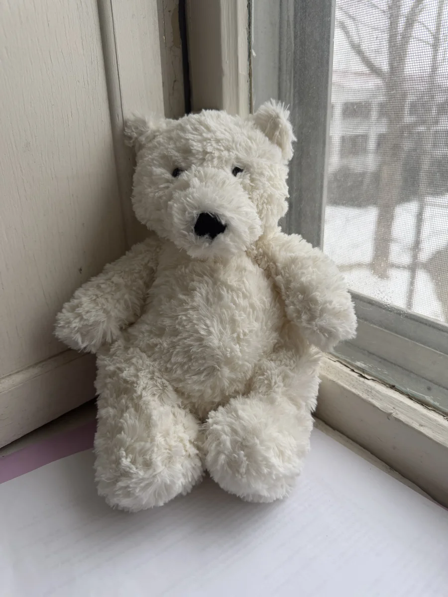 Front - Edmund Cream Bear photo by katsjellies