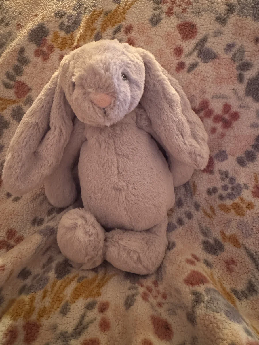 Front - Bashful Silver Bunny - Small photo by OnceaPrincess22