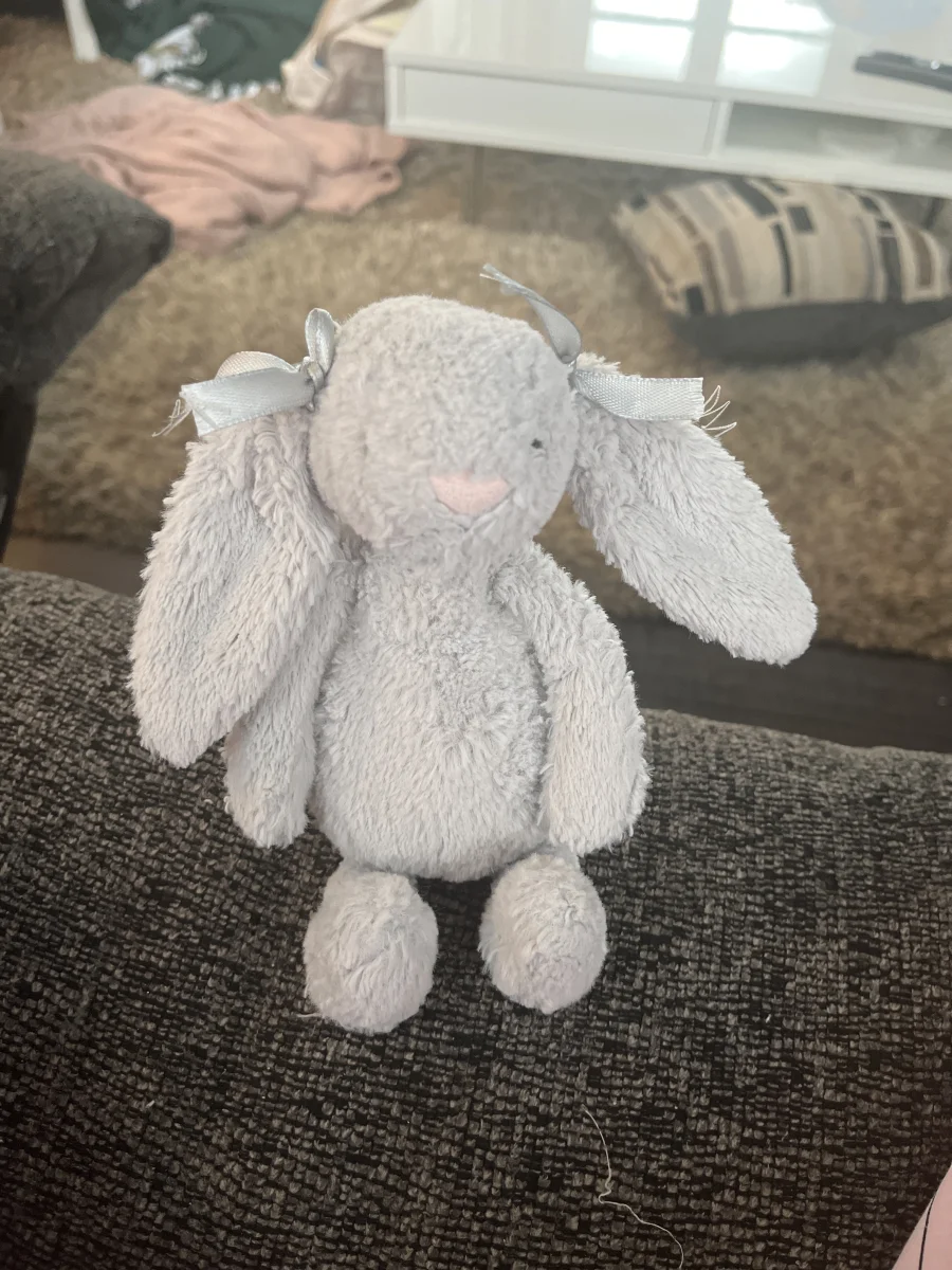 Front - Bashful Silver Bunny - Small photo by Bailey2012