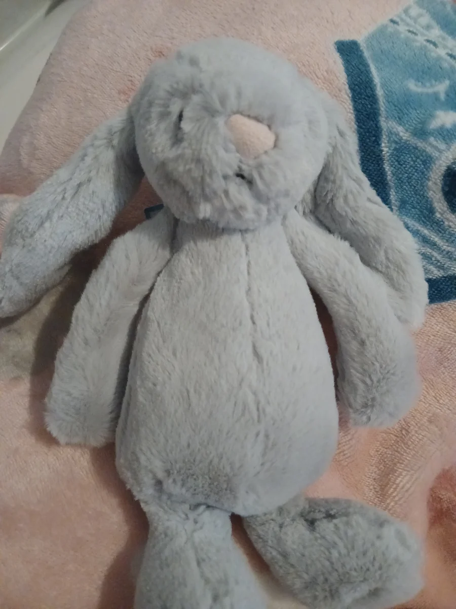 Front - Bashful Silver Bunny - Small photo by SmudgeMonkey101