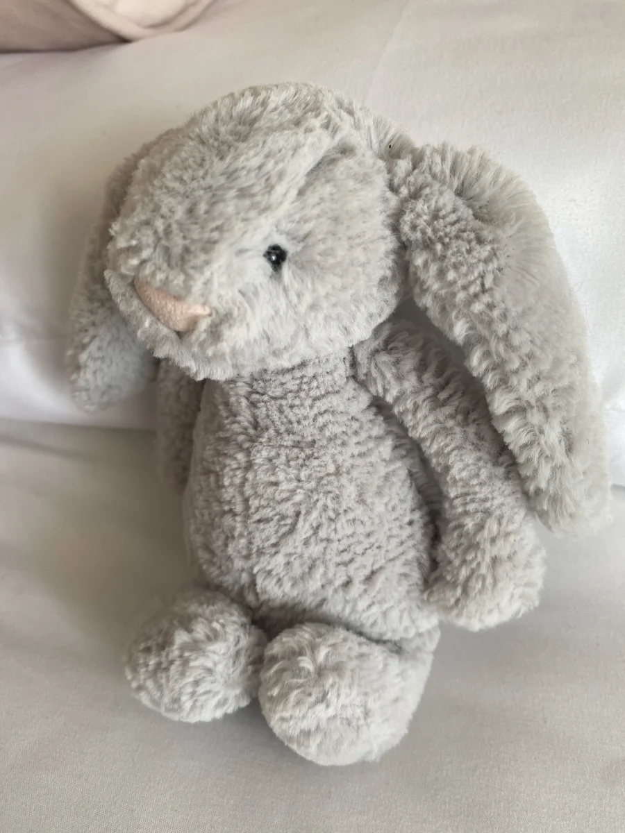 Front - Bashful Silver Bunny - Small photo by Kyrox