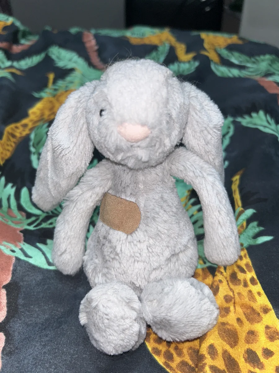 Front - Bashful Silver Bunny - Small photo by BeFf_03