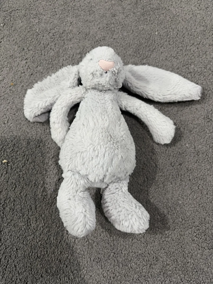 Front - Bashful Silver Bunny - Small photo by Hollyyyyyyy