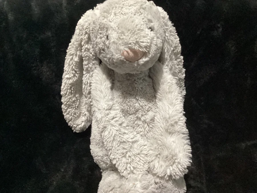 Front - Bashful Silver Bunny - Really Big photo by Jellybunnys1984