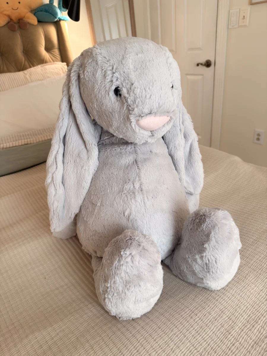 Front - Bashful Silver Bunny - Really Big photo by Saltedcoffee