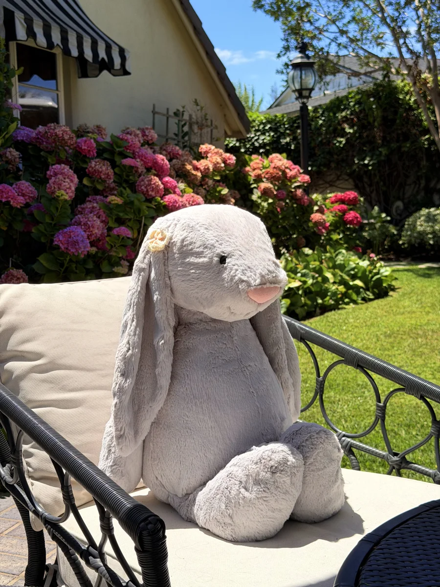 Lifestyle - Bashful Silver Bunny - Really Big photo by jellycatangel