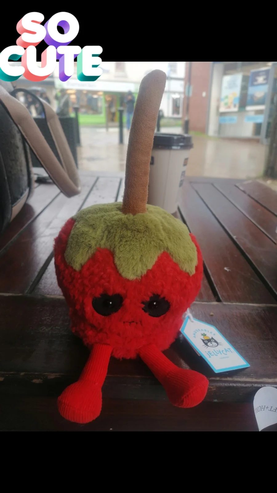 Front - Amuseables Toffee Apple photo by Beckylovespatch1995