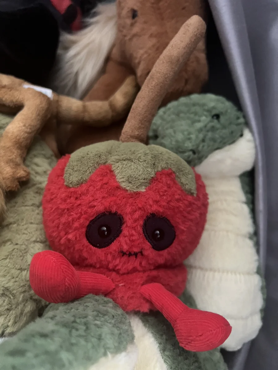 Front - Amuseables Toffee Apple photo by Axel