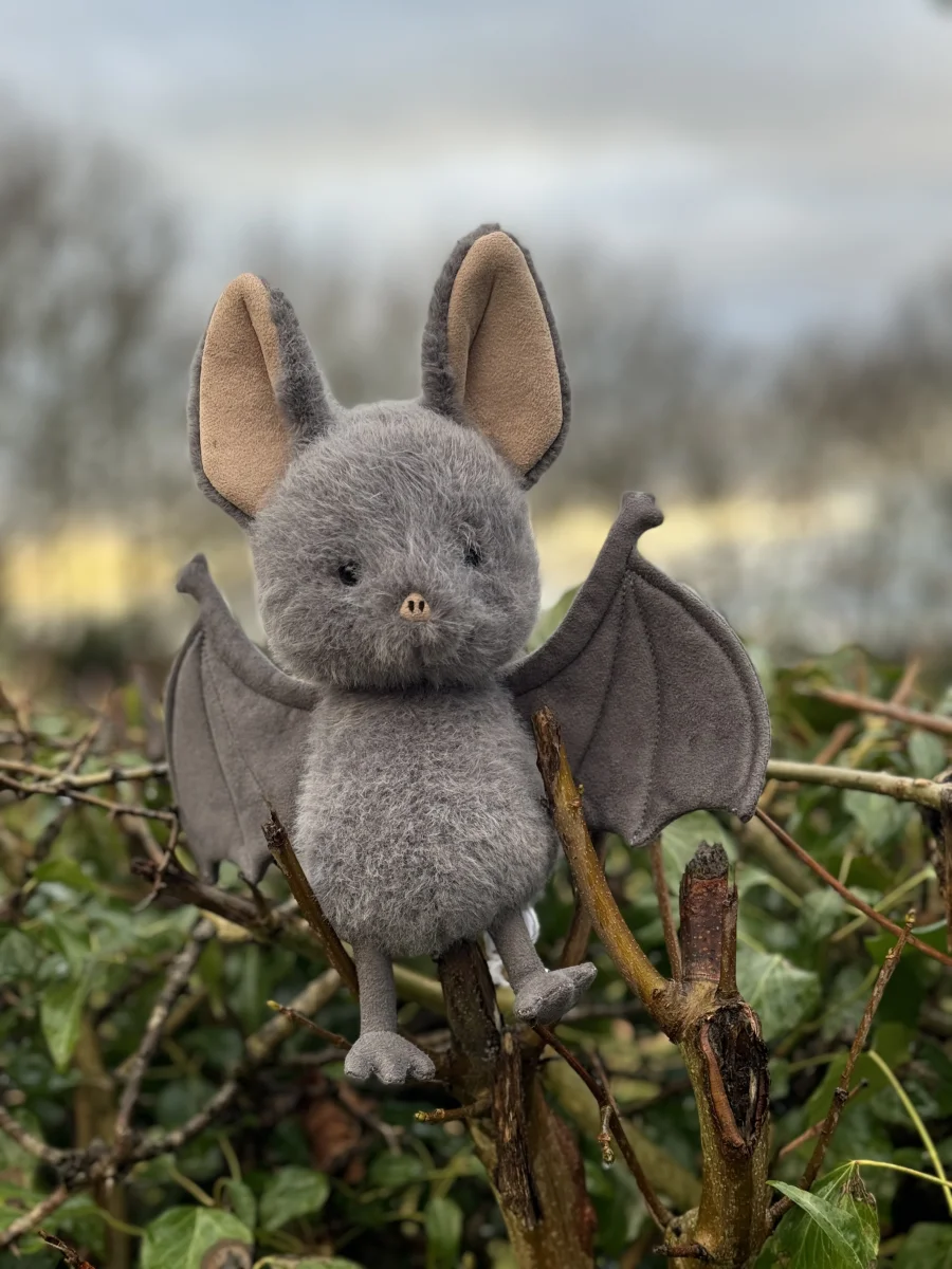 Front - Broox Bat photo by TashasJellies