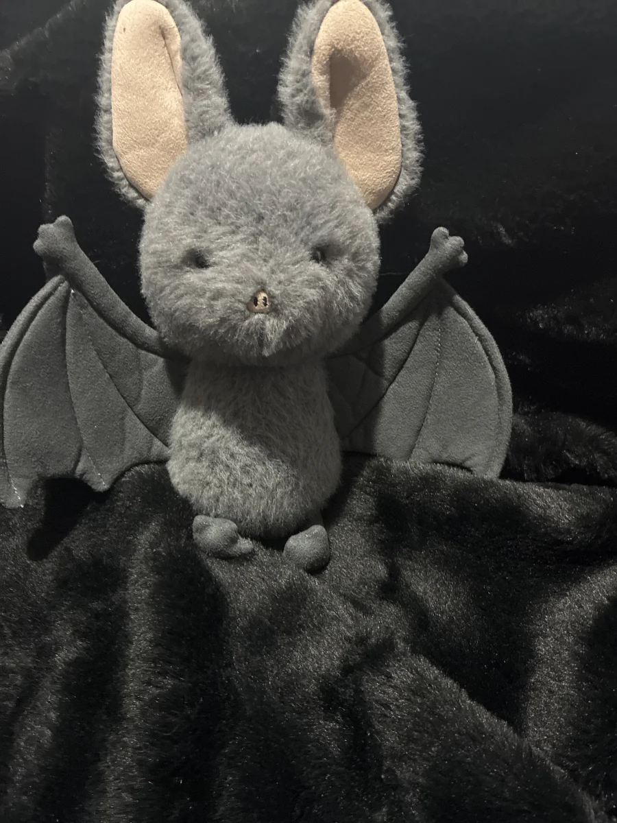 Front - Broox Bat photo by Jellybunnys1984