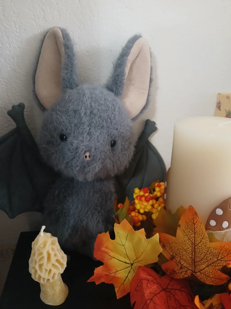 Front - Broox Bat photo by Birdy