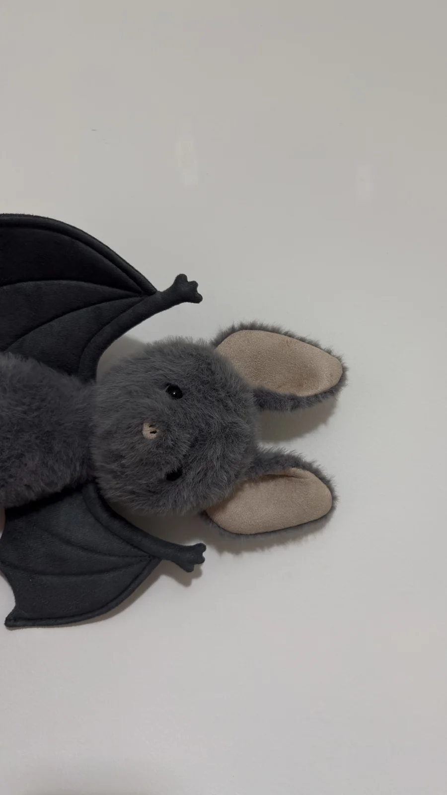Front - Broox Bat photo by JellycatJingles