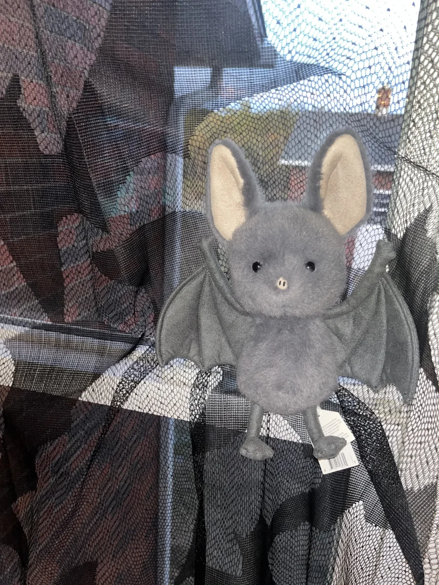 Lifestyle - Broox Bat photo by AllieCat96