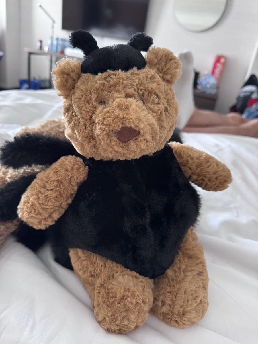 Front - Bartholomew Bear 'Spider' photo by SamLes