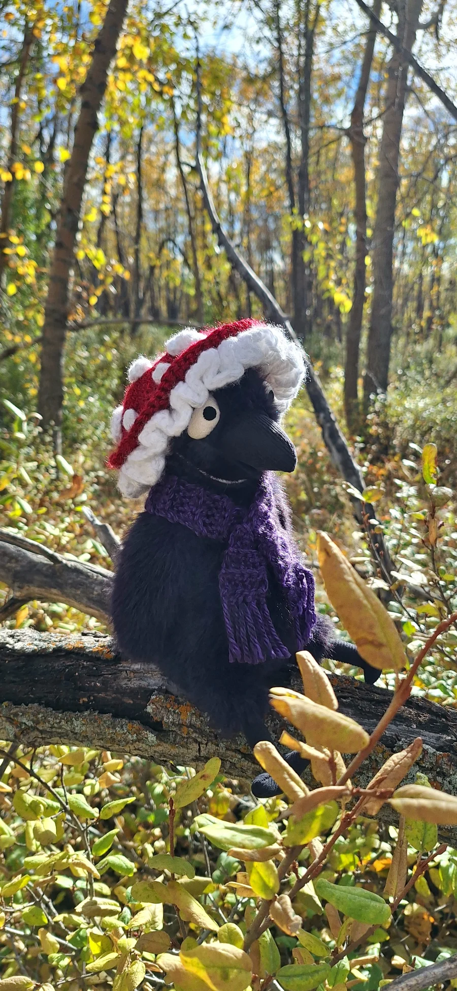 Lifestyle - Hocus Crow photo by Love_blueberry