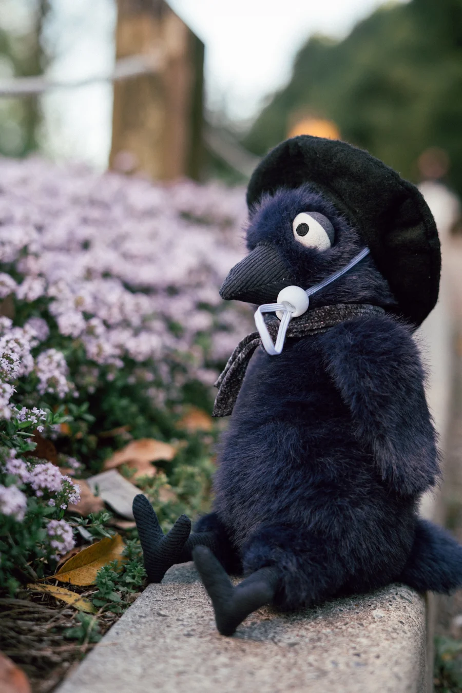 Lifestyle - Hocus Crow photo by bonbon5669