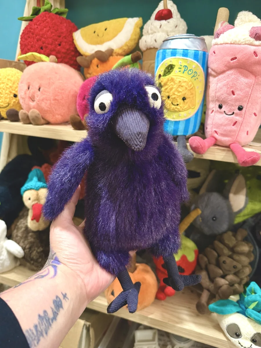 Front - Hocus Crow photo by JellyFolk