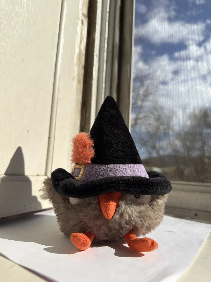 Front - Heccaty Hootnightly photo by katsjellies