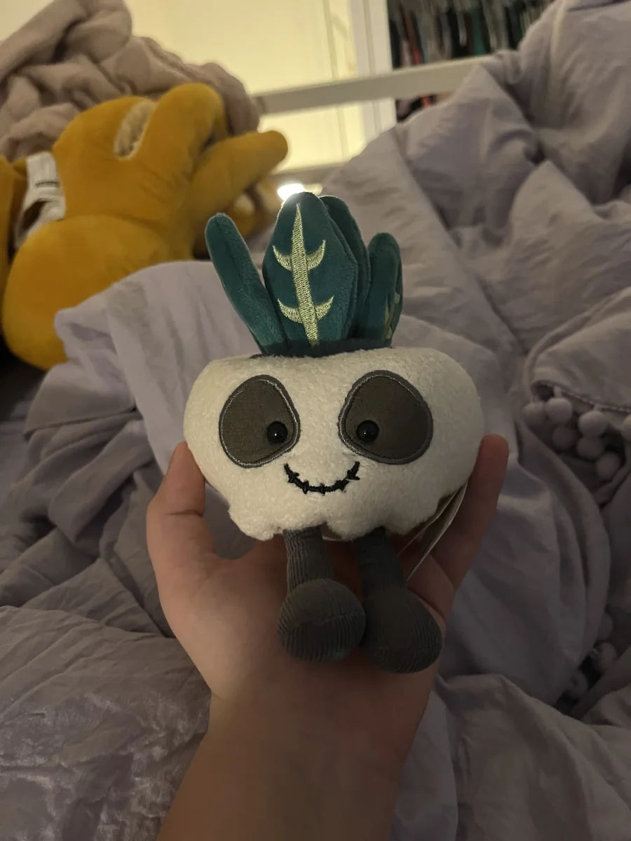 Front - Amuseables Skull Planter photo by Brook_21614