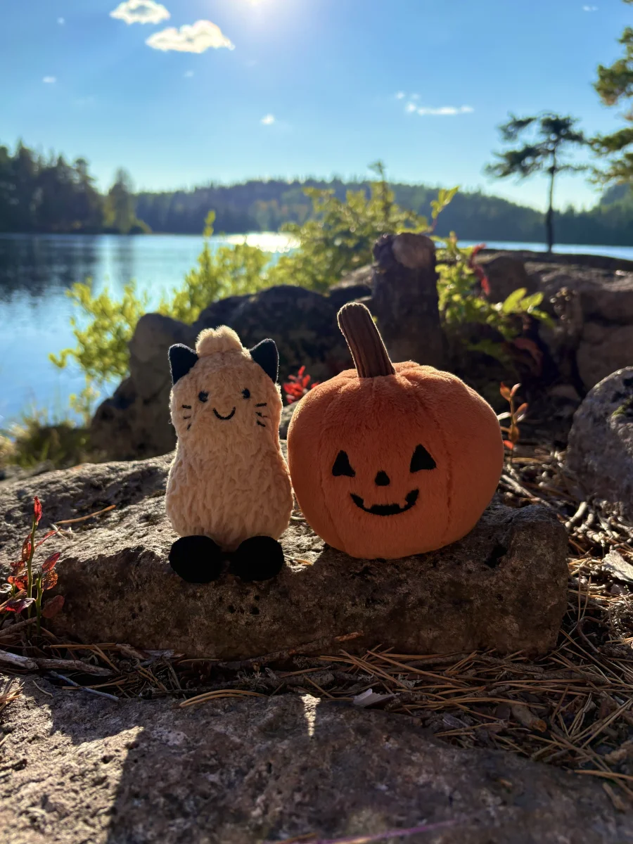 Front - Ooky Jack O Lantern photo by Torillsofie