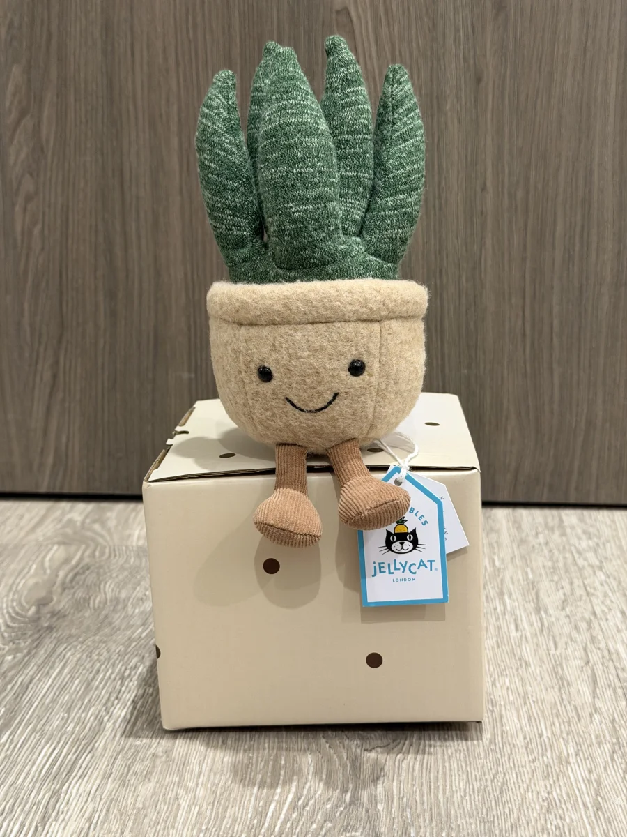 Front - Amuseable Aloe Vera - Small photo by BunnyBPatt