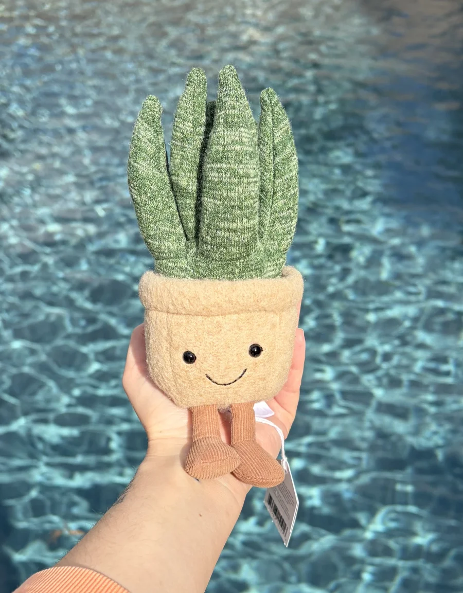Amuseable Aloe Vera - Small Jellycat Photo by AmberrGolden | Jelly Journal