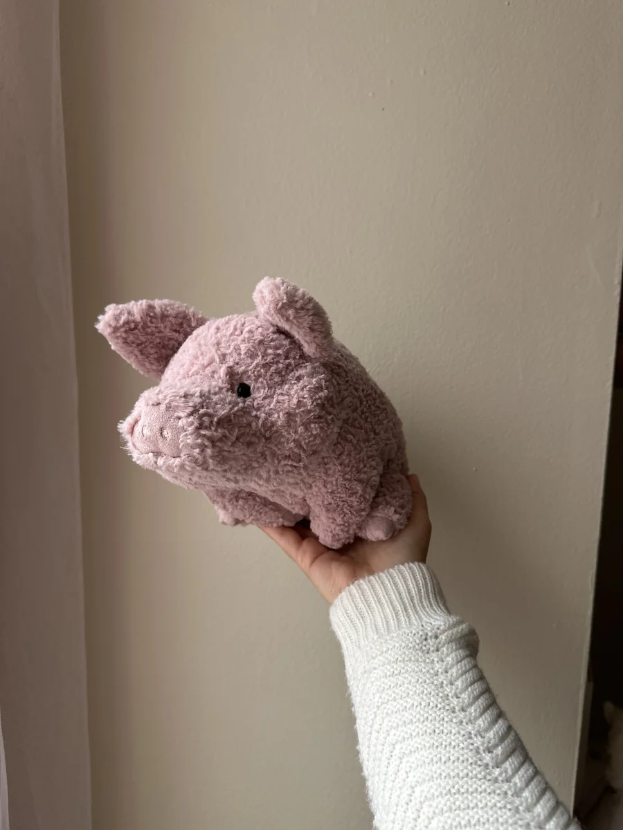 Front - Rondle Pig photo by brisjellyjournal