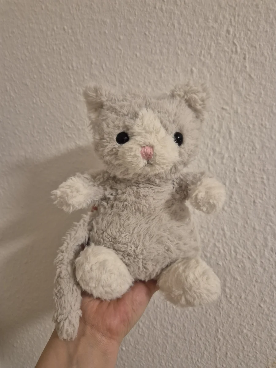 Front - Sandy Mitten Kitten photo by Helena