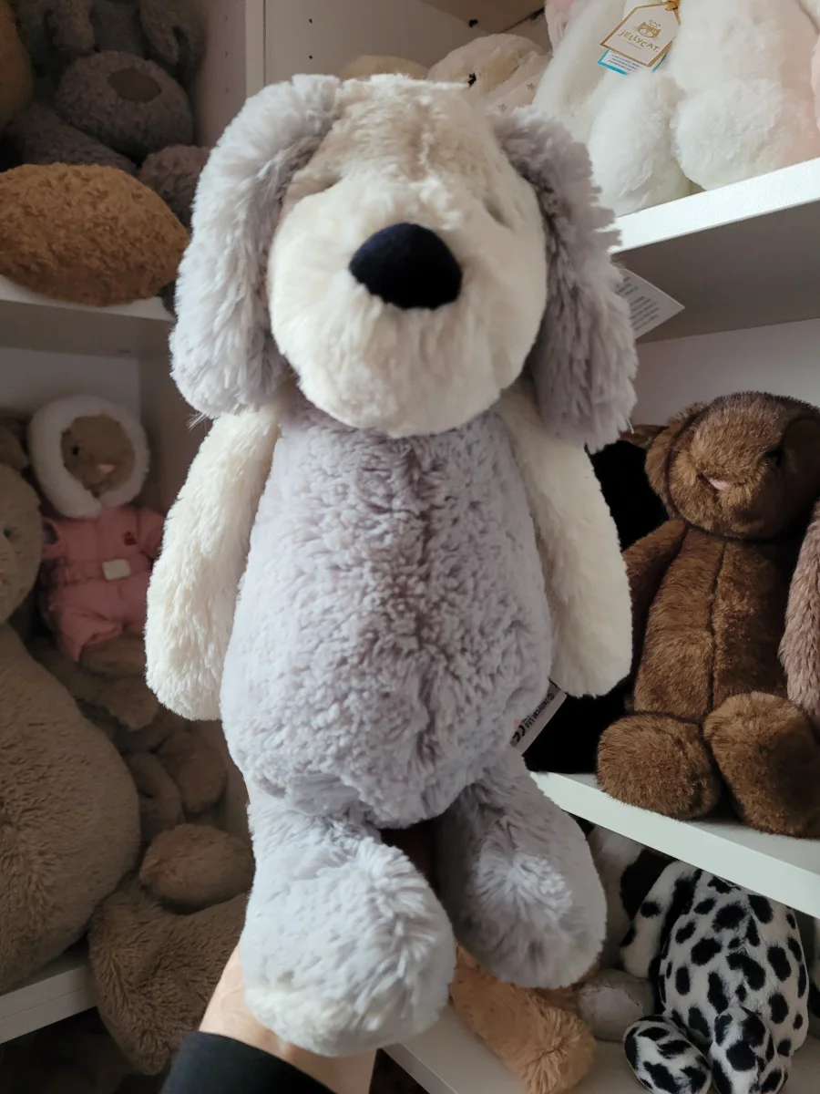 Front - Bashful Chaucer Dog - Medium photo by Kitsfae