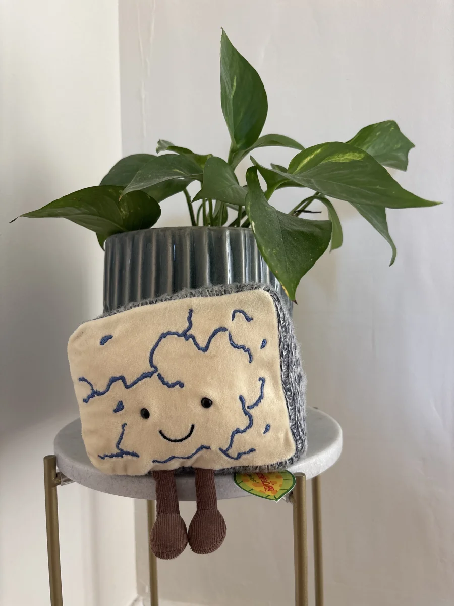 Front - Amuseables Blue Cheese photo by emerly