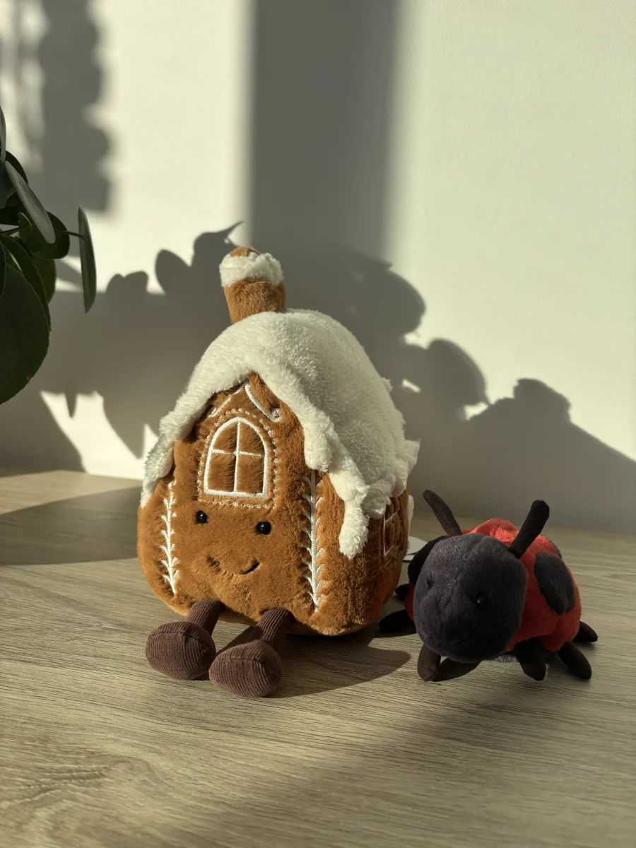 Front - Amuseable Gingerbread House photo by the_jelly_jungle