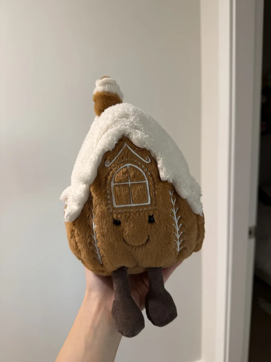 Front - Amuseable Gingerbread House photo by Sugar&Spice