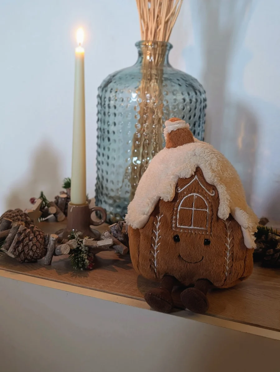 Front - Amuseable Gingerbread House photo by JELLYPOTATO
