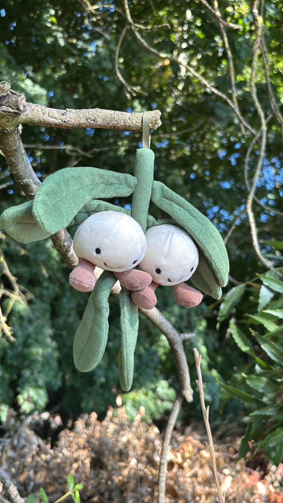 Front - Amuseables Mistletoe photo by Jelly_Journey