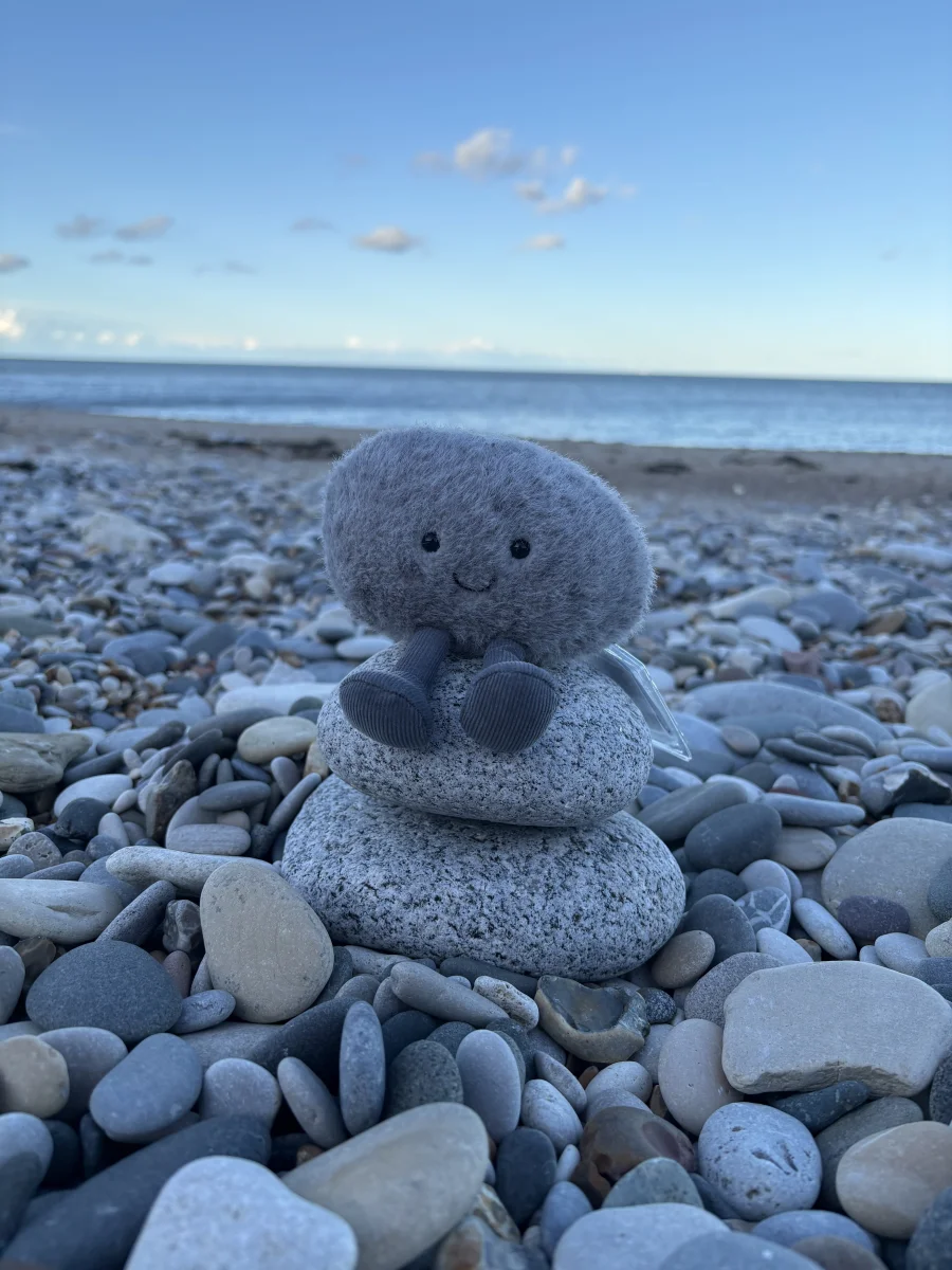 Lifestyle - Amuseables Pebble photo by Jellytinaxo