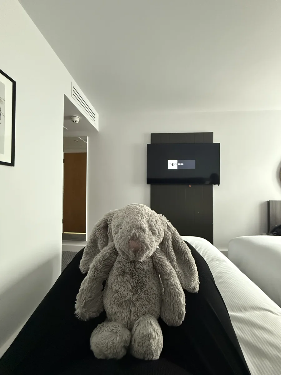 Front - Bashful Birch Bunny - Medium photo by laureneaglex
