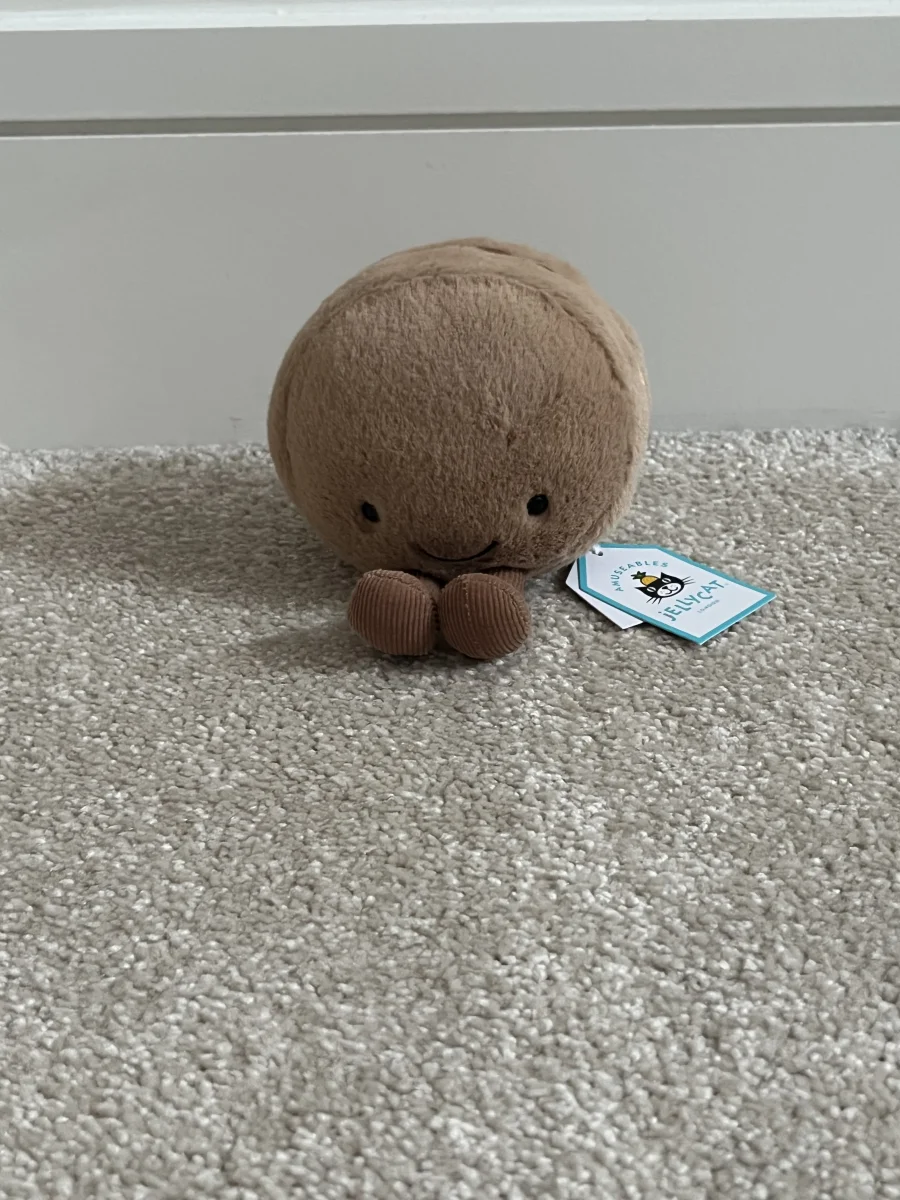 Front - Amuseables Chocolate Macaron photo by aarika_jelly