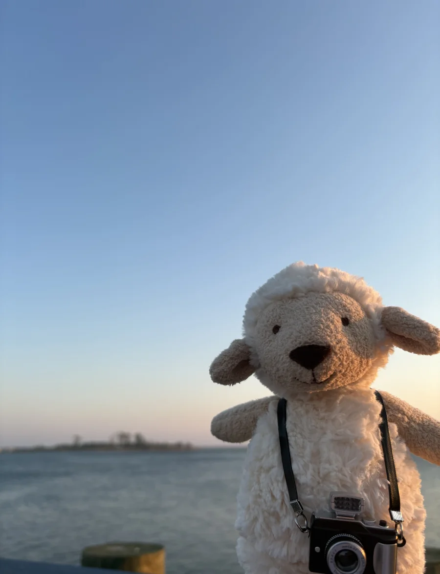 Front - Lollie Lamb photo by kaleighsjellies