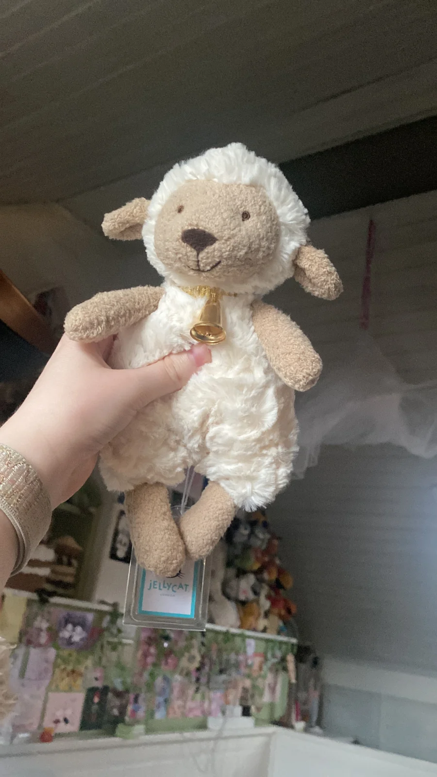 Lifestyle - Lollie Lamb photo by Bluejayjelly