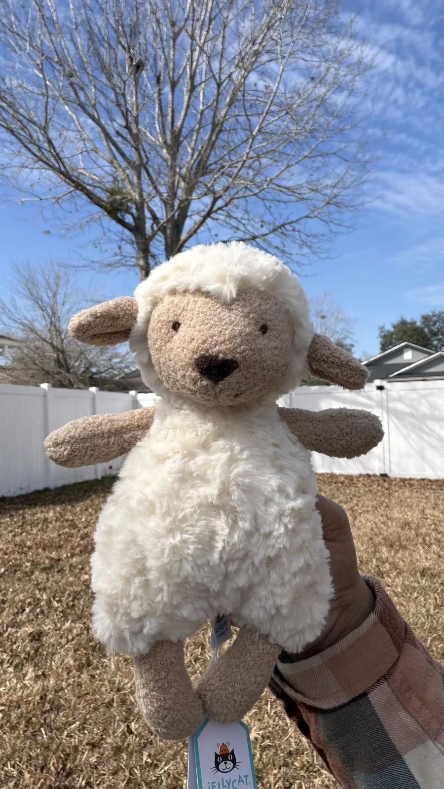 Front - Lollie Lamb photo by bronzieandthejellies
