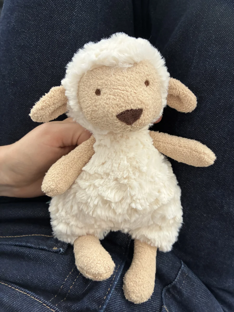 Front - Lollie Lamb photo by thejelliescorner