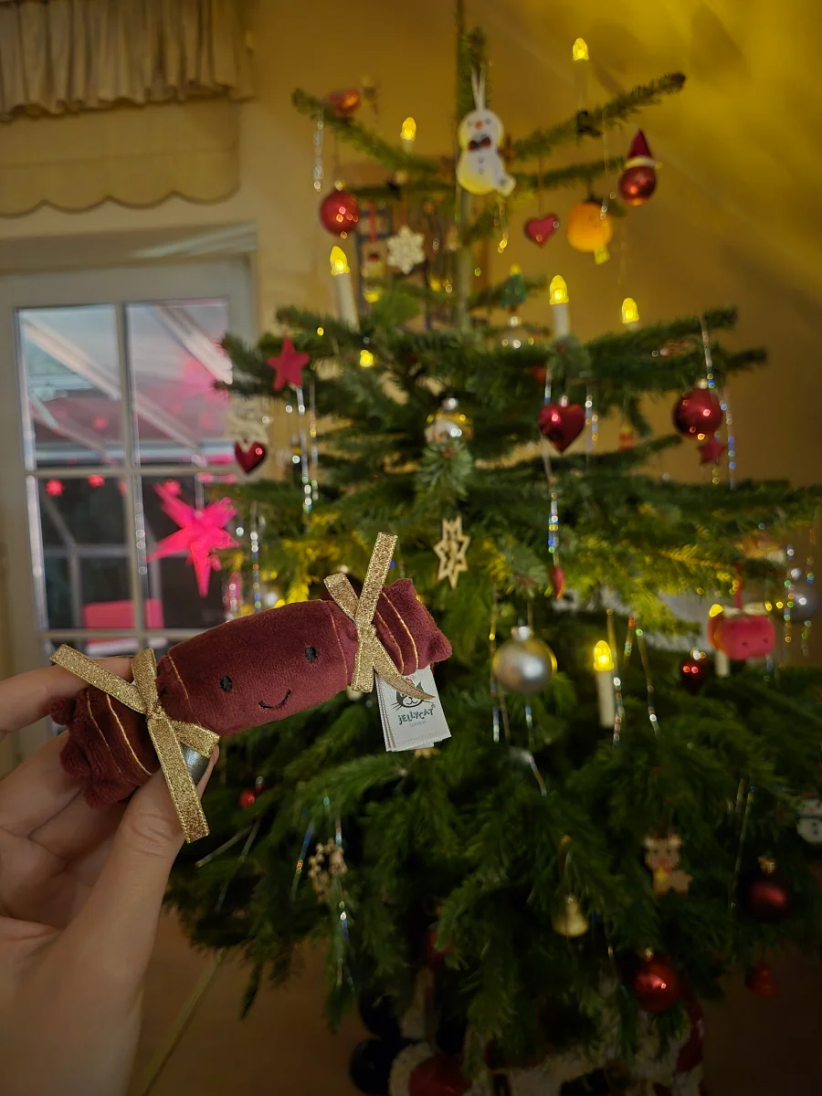 Lifestyle - Festive Folly Christmas Cracker photo by gelisplush