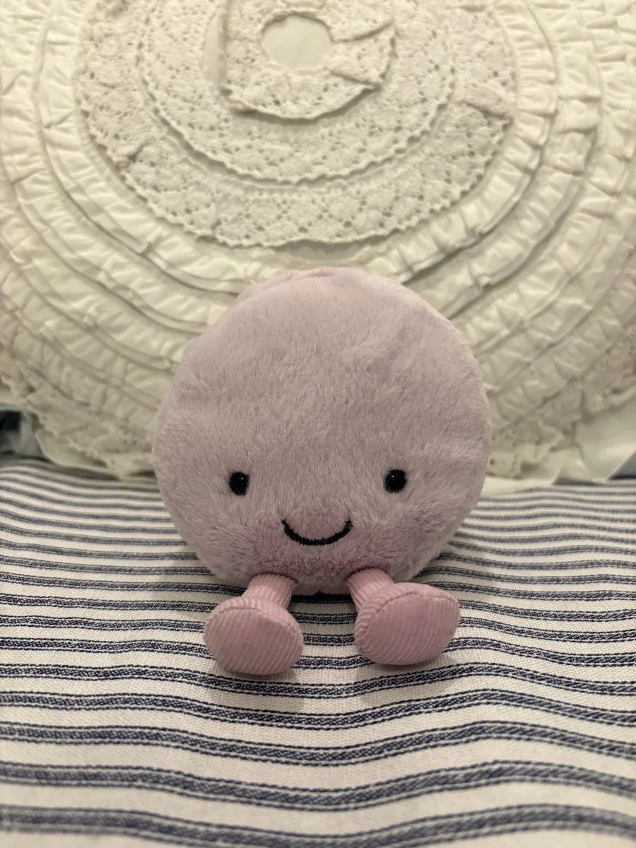 Front - Amuseables May Macaron photo by fran_pancakes