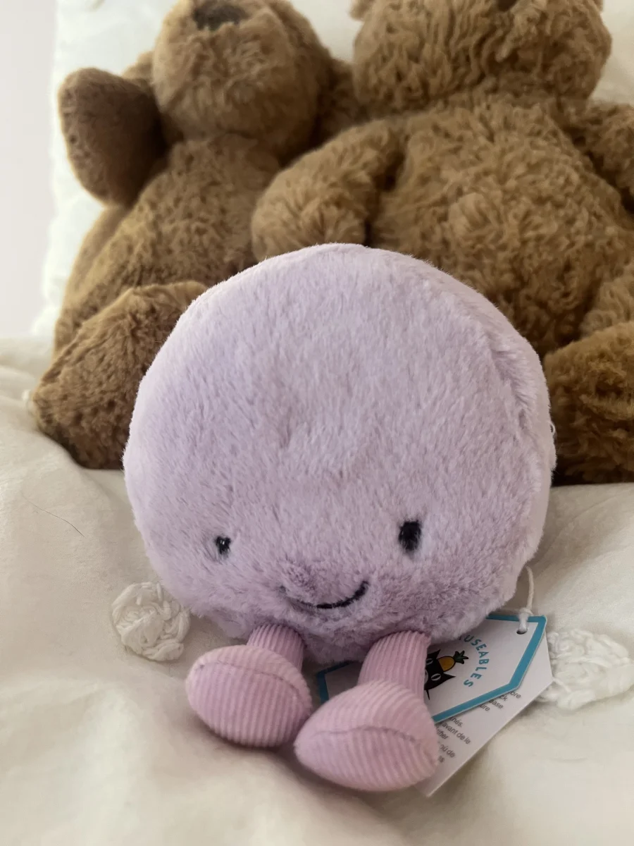 Front - Amuseables May Macaron photo by SunnyJelly