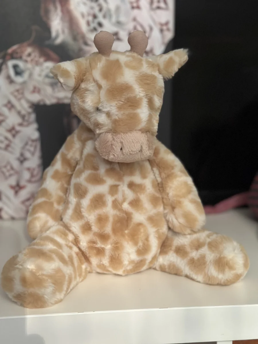 Front - Puffles Giraffe photo by Clare